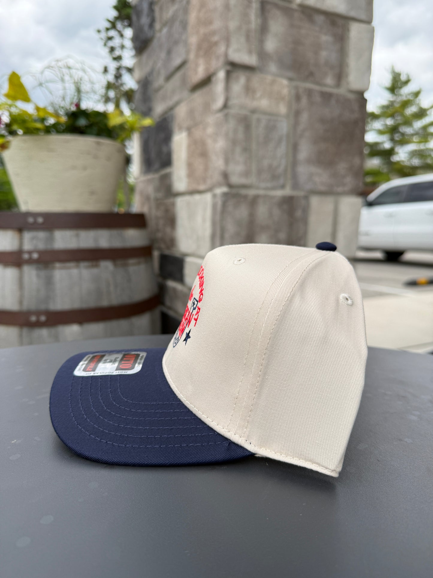 Looking At The American Dream Trucker Hat