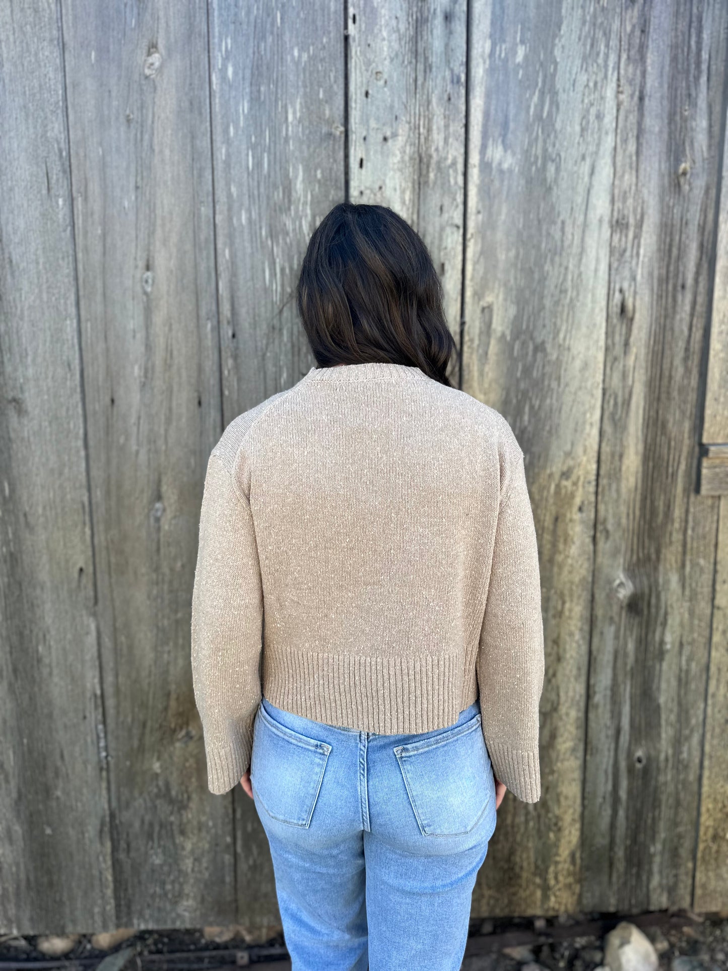 Sprinkled Effect Sweater Oat