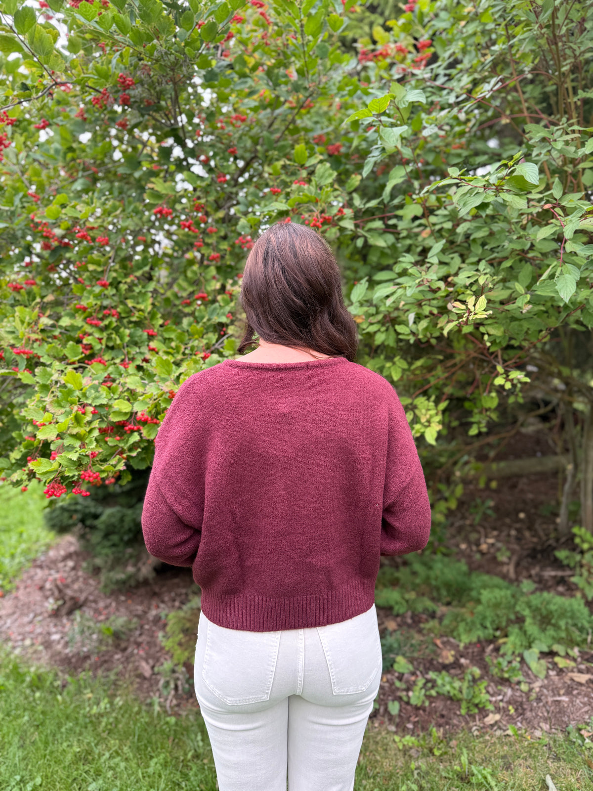 Button Detail Knit Sweater Wine