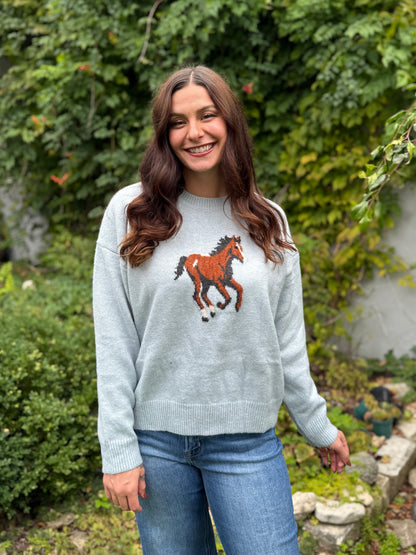 Horse Graphic Sweater Light Blue