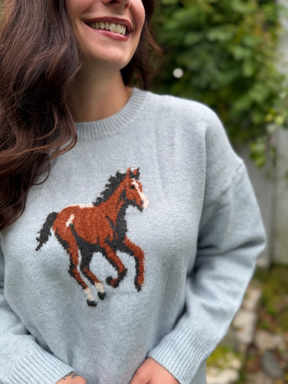 Horse Graphic Sweater Light Blue